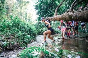 BIB: 
                            <button type="button" onclick="openModal(25453940)" class="btn btn-primary btn-sm float-right btn-popup" data-toggle="modal" data-target=".modal-high-quality">
                        <i class="fas fa-shopping-cart"></i> Add to Cart
                    </button>
                                            <button type="button" onclick="isThisMe(25453940, true)" class="btn btn-success btn-sm float-right btn-popup btn-isme hidden" data-toggle="tooltip" data-placement="bottom" title="นี่คือรูปของคุณใช่ไหม คลิกที่นี่เพื่อเอาเข้าอัลบั้ม">
                        <i class="fas fa-plus"></i> Add to album
                    </button>
                    <button type="button" onclick="isThisMe(25453940, false)" class="btn btn-warning btn-sm float-right btn-popup btn-isnotme hidden">
                        <i class="fas fa-ban"></i> Remove from album
                    </button>